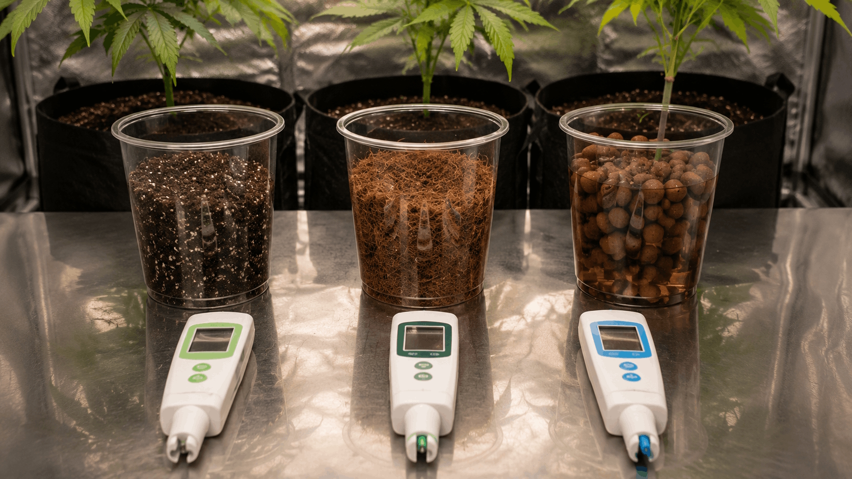 Three side-by-side pots showing soil, coco and hydroponic clay pebbles